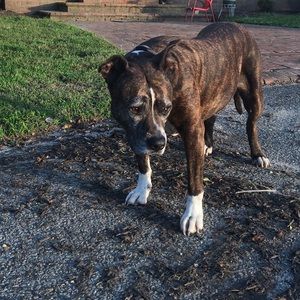 Meet your Posher, Kyrie